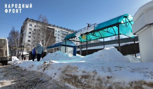 В Йошкар-Оле общественники активизировали работу по контролю за уборкой снега