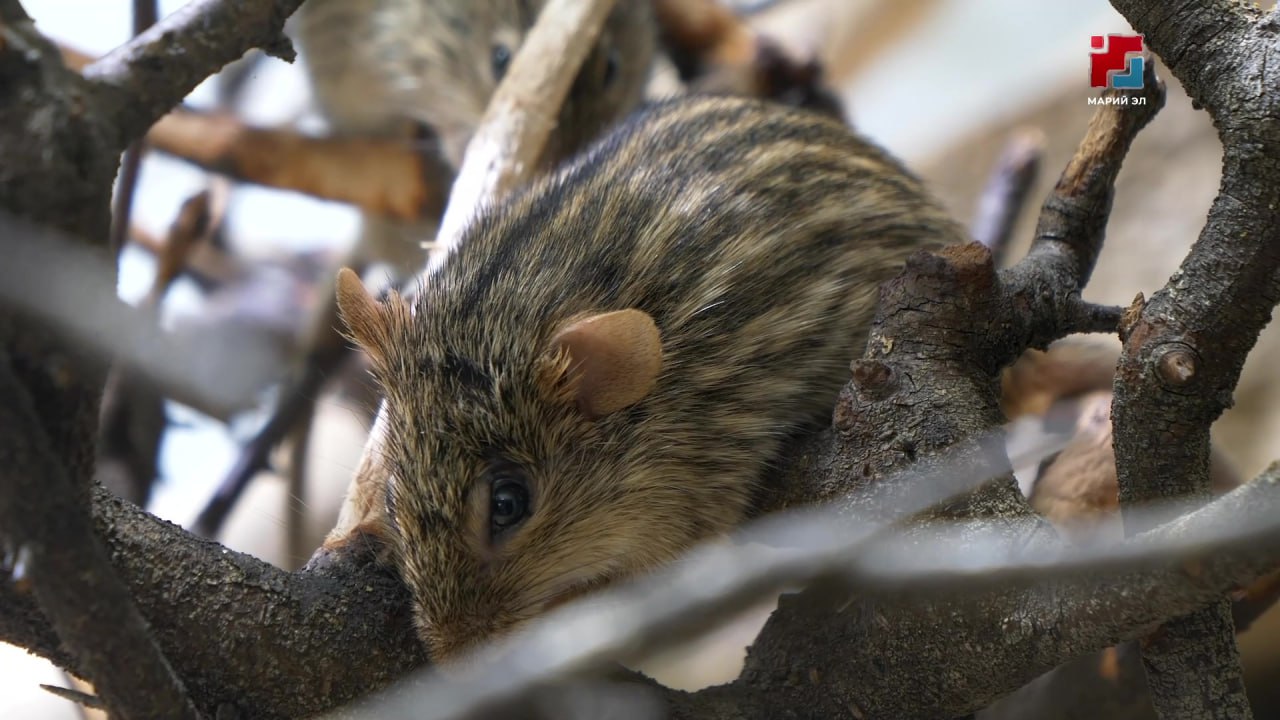 Время простуд, гриппа и других сезонных инфекций постепенно завершается