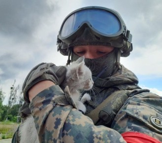 � ����� �� ����� 850 ���������� ��� � ������ �� ����� ������ ������������ � ��������� ��������� ���