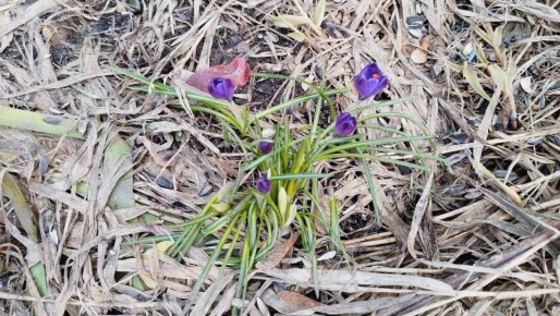 В минувшие выходные в Йошкар-Оле температура воздуха впервые поднялась выше +10С