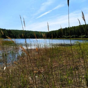 �����������, �� ����� �� ���� ��� ���������� �������� �����, ������� ����� ������� ���������� �����