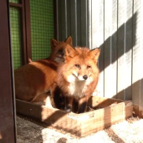 � ������ ����� ��������! ����� �� �������� ����� ���� � �������� ����������