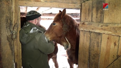 ��������� ������������ ����� ��������������� ���������� ����������, ������� �� 350 ���