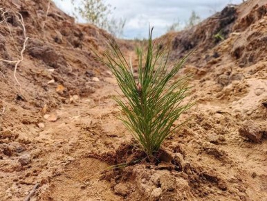 � 2026 ���� � ����� �� � ������ ������� ����������� ����� ����������� ������������ 3 800 �������� ����