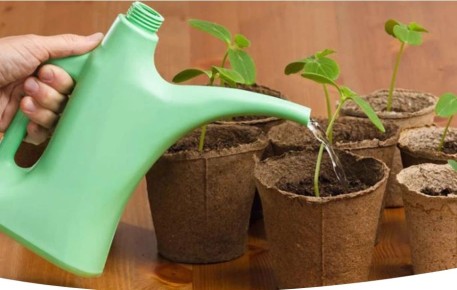 ����������� ������ ������ ������� ��� �������� ��������