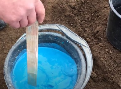 ��� ��������� ����������� ��������� �������� � ������������ � ��� ������ ���������� � ���������