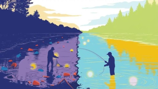 ������������� ������-��� ���������� ������� ������� ������� � �������� ������-������� ������������: �� ���� �� �����������