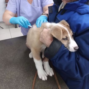 � ����� �� ���������� �������� ���������� ��������