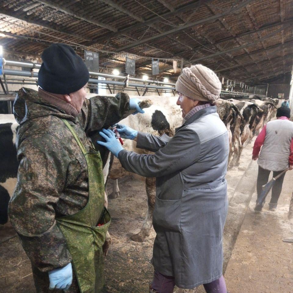 Специалисты государственной ветеринарной службы Марий Эл начали плановую весеннюю вакцинацию животных