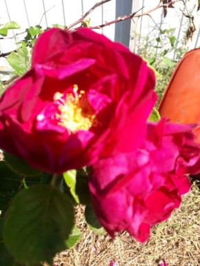 �������� ������� ������ � ��� �� �����