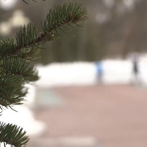 С добрым утром и отличных выходных!