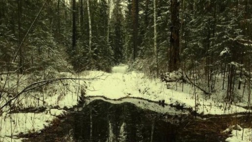 � ����� �� ���������� ���������� ����