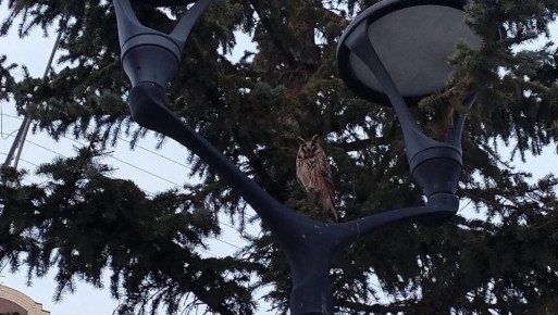 � ������ ������ ������ �� ���� �������� ������ ����