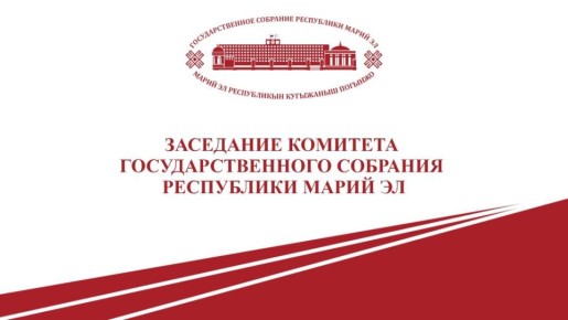 Комитеты Государственного Собрания внесли на рассмотрение парламента два проекта
