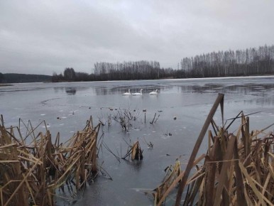 ���������� ����� �� ��������� � ����� ��������, ��� ���� ������ �������� ������� ���������