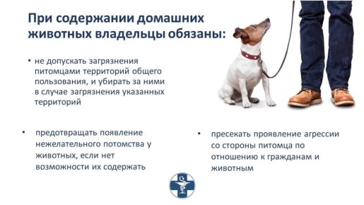 ����� ����������, ��� �������� ���������� � ��������