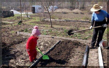 ������� ���� �� ����: ��� ����� ������ � ������ �����