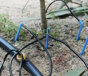 Капельный полив осенью: как сохранить влагу для вашего сада