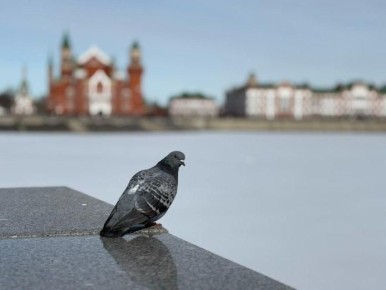 ������ ������-��� ������ �������� ������� ���� � ������ ������� �������