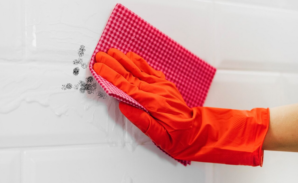 Эффективные методы борьбы с грибком и плесенью в вашем доме