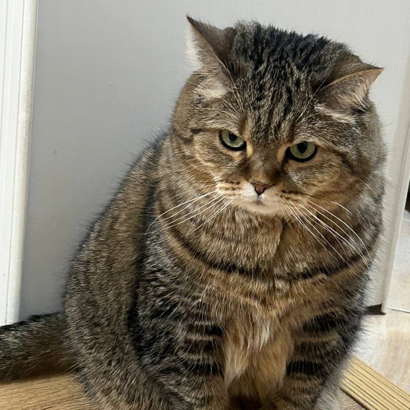 Доброе утро! Сегодня главная цель — улыбаться в предвкушении выходных