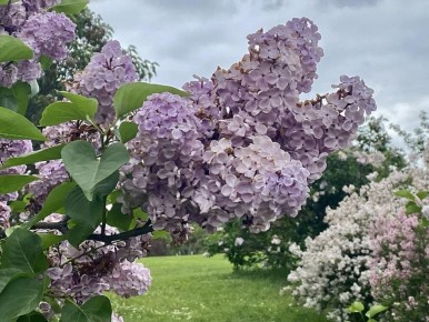 ������� ��������� �������� ������: ����� � ��� ��������� �� ���������