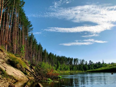 Юные театралы из Марий Эл борются за победу в окружном фестивале