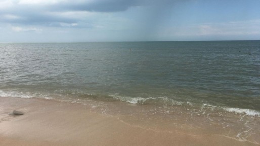 ����������� �� ������ ����� ����� ��������� ������� � 1 ����