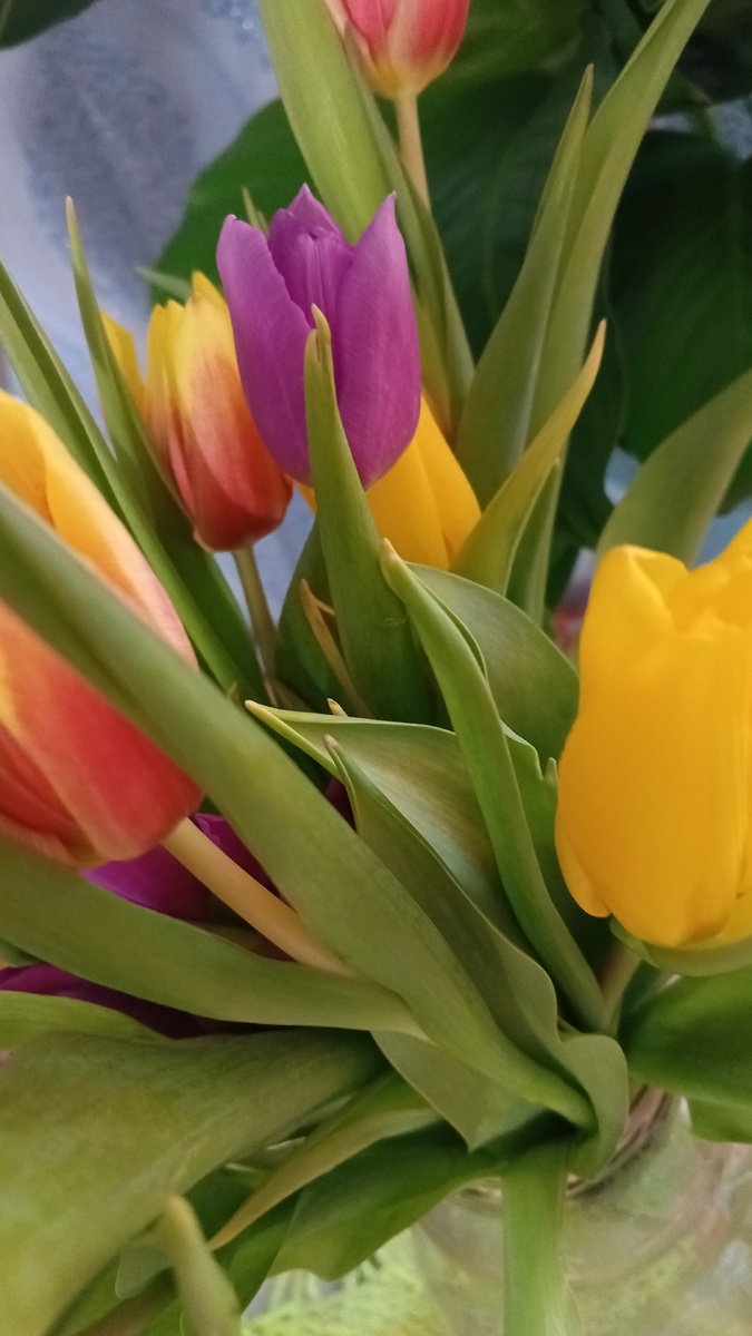 Как перестать мучить себя попытками изменить других