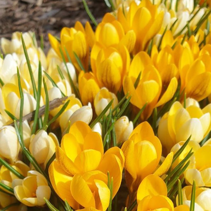 Суббота — день, когда можно делать ровно то, что хочется