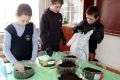 В одной из школ Марий Эл дети сами выращивают рассаду для школьных клумб