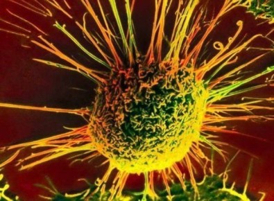 ��� � ������� ���������: ��� �������� ����� ����� ������ �� ��������������