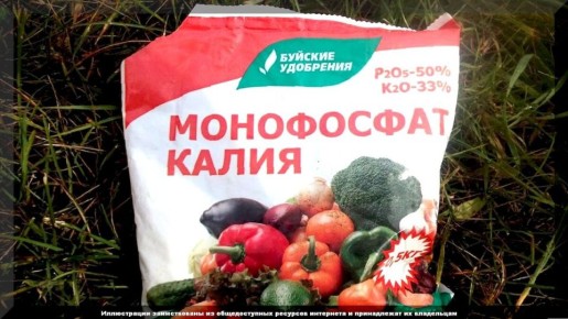 Как приготовить монофосфат калия и подкармливать им растения: все секреты эффективных подкормок