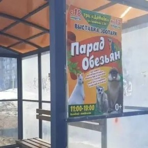 � �������������� � ��������