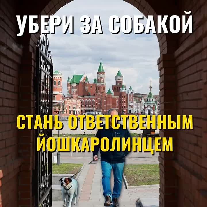 Любишь гулять - люби и убирать