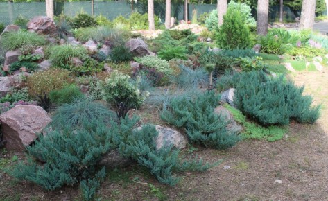 ������� ��������������: ����������� �� ����