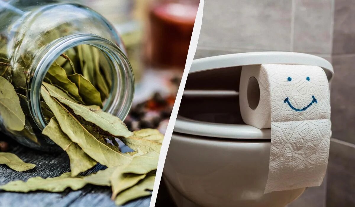 Лавровый лист в унитазе: секрет идеальной чистоты и свежести