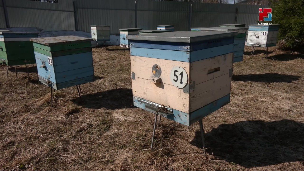 Весна – ответственный период для пчеловодов