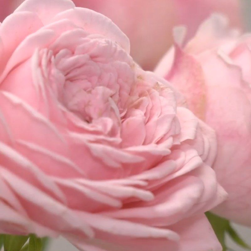 ������ ����! ������ ������� ������ ��� � ��������� ����������