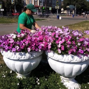 � ����� ��������� ������� ��������� ��������� ��������� ���������� ������