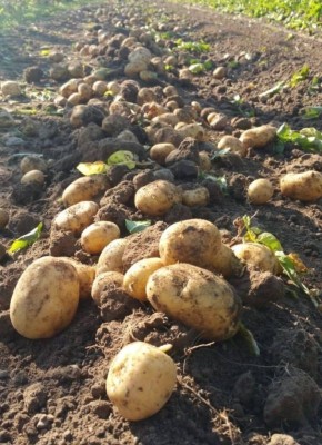 ����� ����� ���������, ������� ��������� ���� � ������: �������� �����������