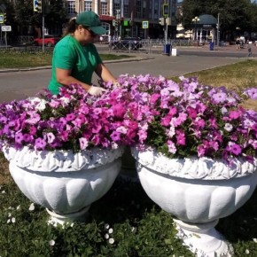 � ����� ������-��� ����������, ��� � ���� ���� ��������� ���������� ������� ����� ���������