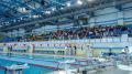Йошкар-Ола собрала более 200 пловцов из 31 региона России