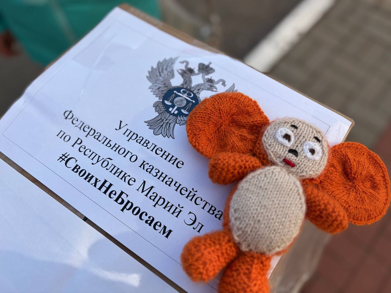 УФК по Республике Марий Эл оказало гуманитарную помощь военнослужащим — участникам специальной военной операции УФК по Республике Марий Эл оказало гуманитарную помощь военнослужащим — участникам специальной военной операции