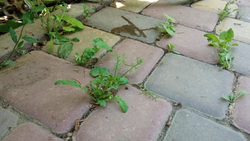 ��� ���������� � ��������� �� ����: ������� � ����������� ������