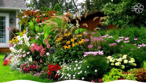 ���� ��� ������ ��������: �������� ����� �� �������� ����