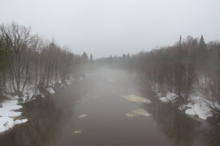 �� ���� ������� ������� ������� �������