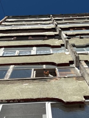 ������� � ����� �� �������� ������, ��������� �����, ����� ������� ���������