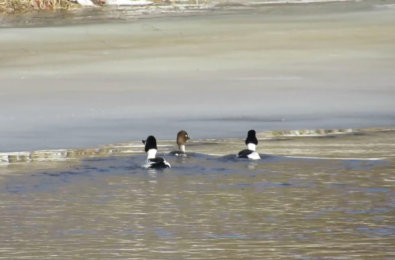 Аэропорт Йошкар-Олы постепенно готовят к возобновлению регулярных авиарейсов после периода реконструкции