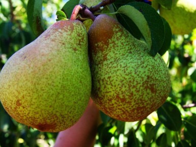 ����� ����� � ����: ������ ��� ������ ����� �������� � ������ ����